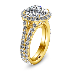 Halo  Engagement Ring Emotion 14K Yellow Gold