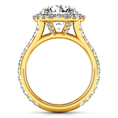 Halo  Engagement Ring Emotion 14K Yellow Gold